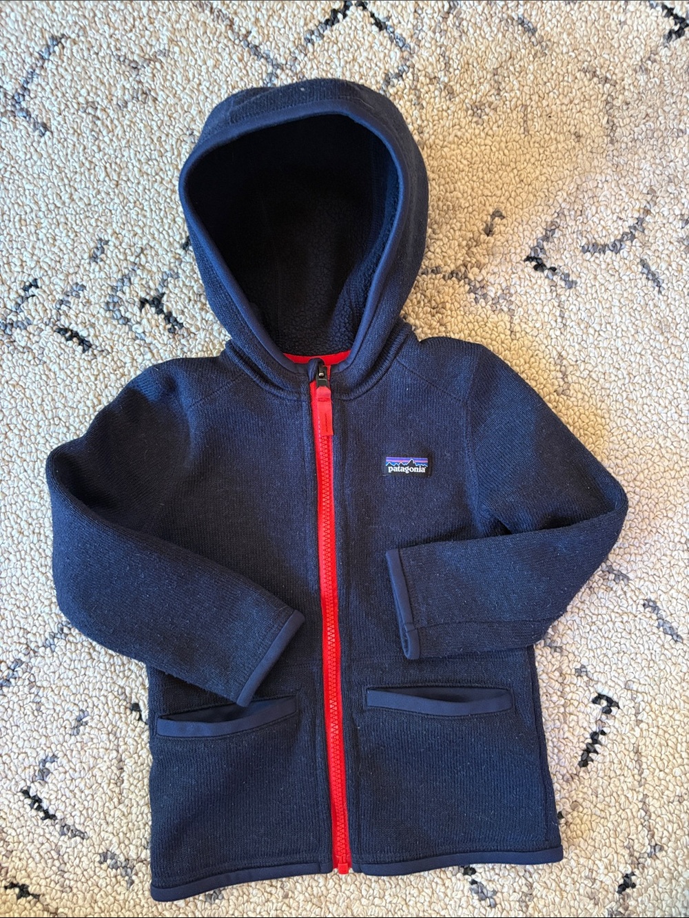 Patagonia Kids Fleece Jacket (3T) EUC